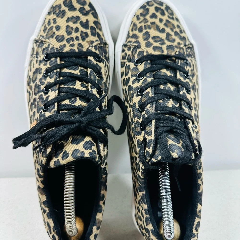 Lamo Black Fabric Interior - Picture 5 of 7